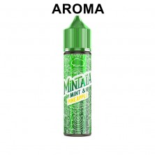 Aroma Mint Pineapple Mintaïa 10ml (Longfill) - Eliquid France