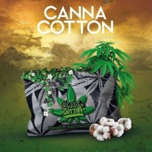 Canna Cotton - Algodon