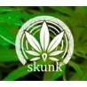 SKUNK
